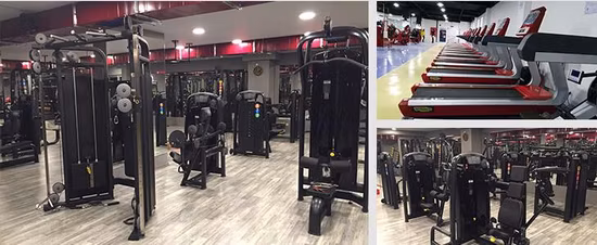Press Sporting Comercial PRO Inclinação Plana Exercício Ajustável Haltere Peso Ginásio Banco